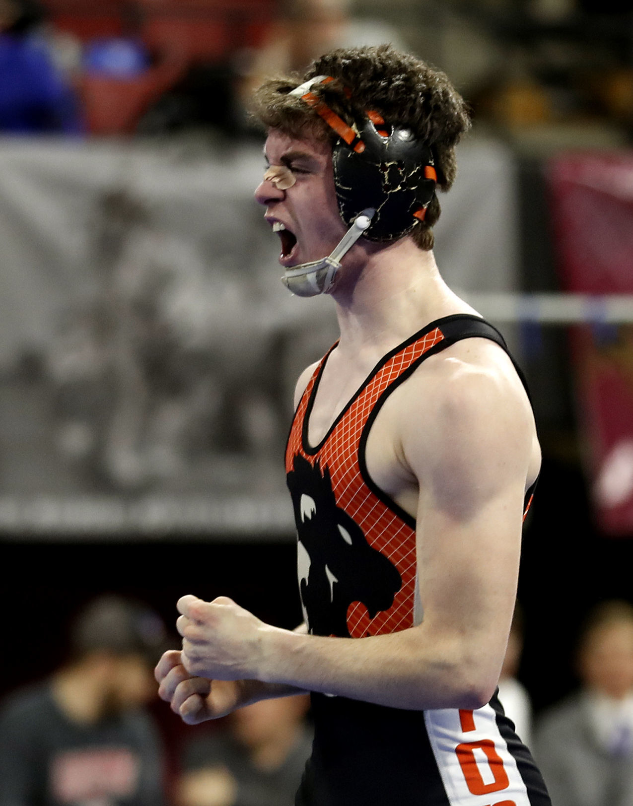 State Wrestling Championships